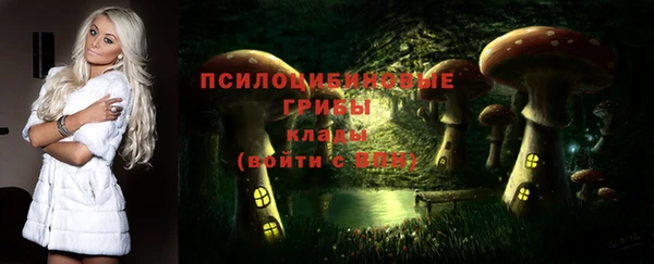 apvp Нея