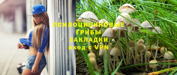 герыч Новокубанск
