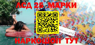 стаф Кандалакша