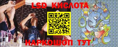 индика Камышлов