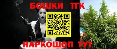 индика Заволжье