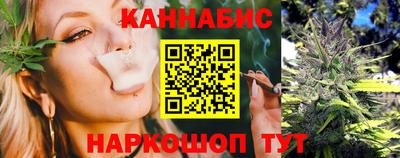 индика Заволжье