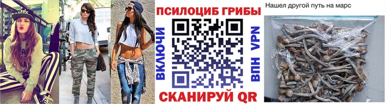 закладка  Мурино  ОМГ ОМГ вход  Галлюциногенные грибы GOLDEN TEACHER 