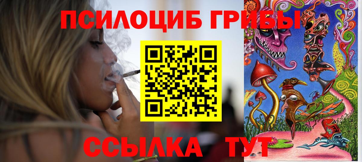 Галлюциногенные грибы Psilocybine cubensis Мурино