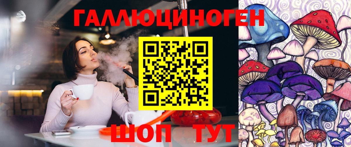 Псилоцибиновые грибы мухоморы  Вход с VPN  Мурино  Псилоцибиновые грибы Psilocybine cubensis 