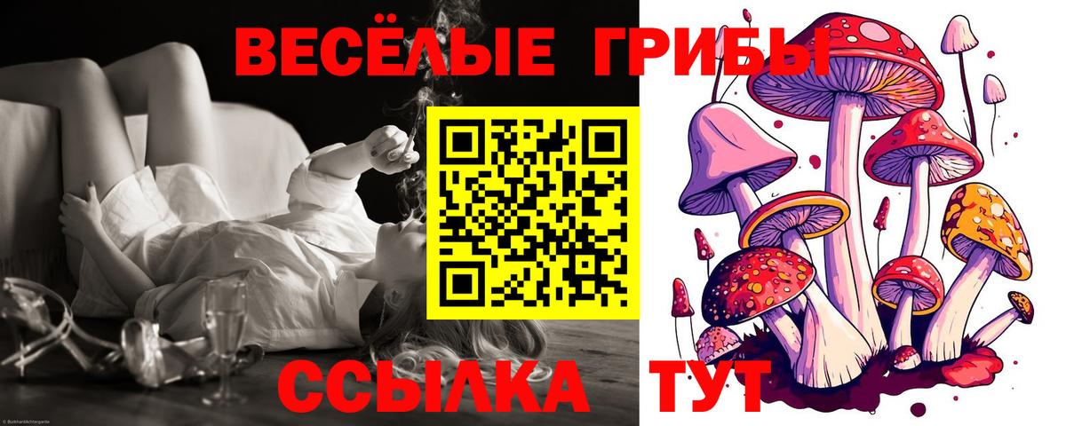 Псилоцибиновые грибы мицелий  Псилоцибиновые грибы Magic Shrooms  где найти наркотики  Мурино 